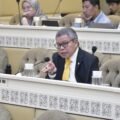 Taufan Pawe Anggota DPR RI