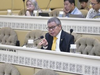 Taufan Pawe Anggota DPR RI