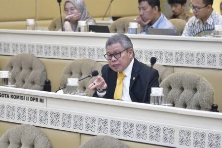 Taufan Pawe Anggota DPR RI