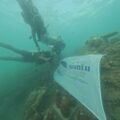 Aksi Nyata di Laut Selayar, Mahasiswa KKN UGM dan Kades Bakhnur Arfandi Bangun Rumah Karang