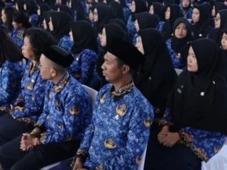 Pemprov Sulsel Usulkan 1.578 PPPK Paruh Waktu, Didominasi Guru
