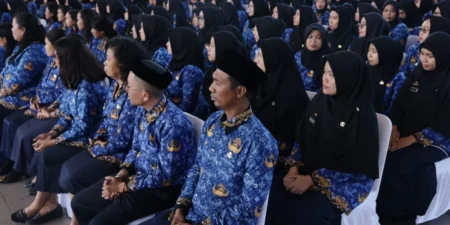Pemprov Sulsel Usulkan 1.578 PPPK Paruh Waktu, Didominasi Guru