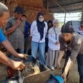 Digitalisasi dan Inovasi, PKM UTS Ubah Wajah Industri Batu Bata Merah Rumahan di Gowa