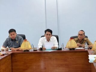 Awiluddin Sihak Matangkan Ranperda Pilkades, 18 Desa di Selayar Menanti Regulasi