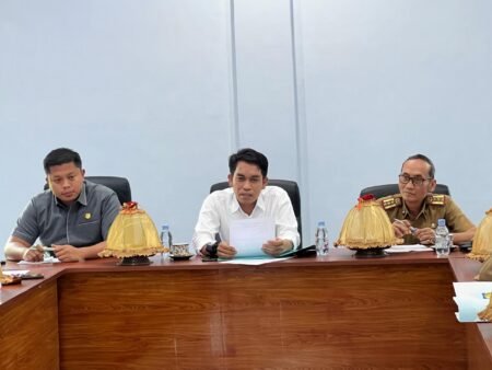Awiluddin Sihak Matangkan Ranperda Pilkades, 18 Desa di Selayar Menanti Regulasi