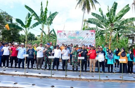 Gubernur Sulsel
